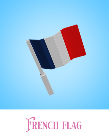 NFT French flag